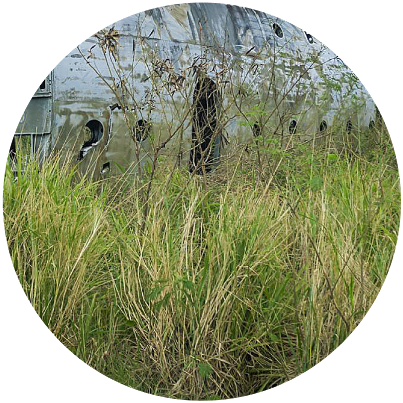 除草のイメージ