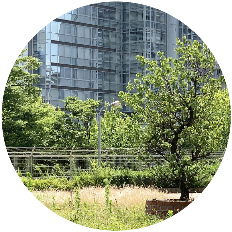 荒れた街路のイメージ