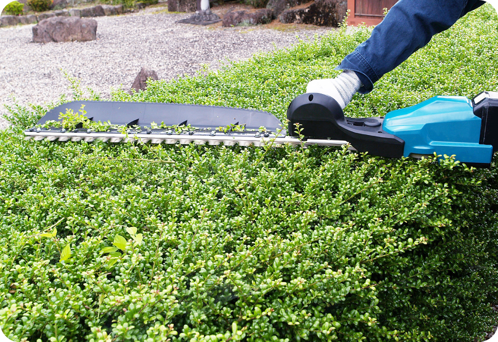 造園のイメージ