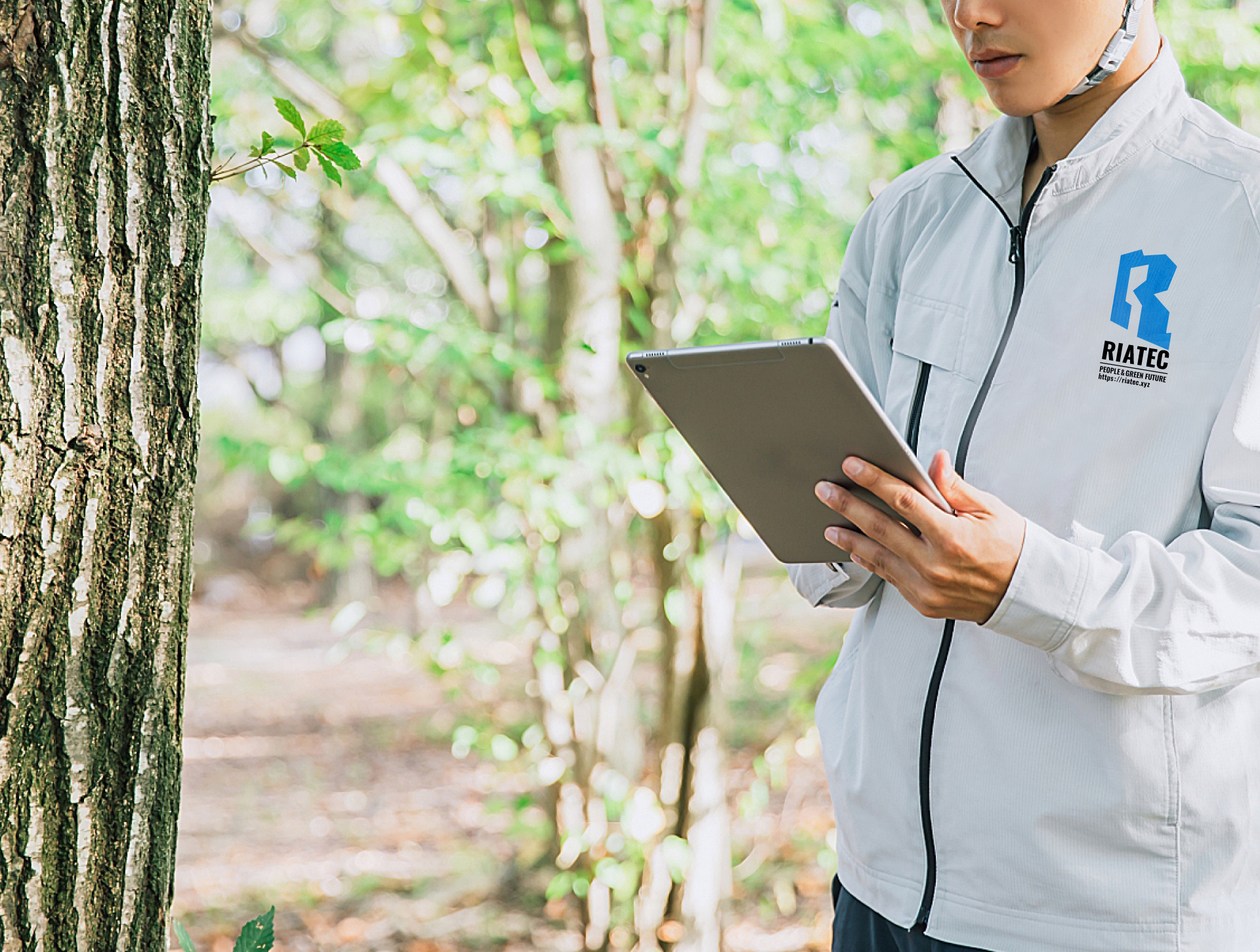 可動域のイメージ